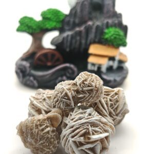 Desert Rose